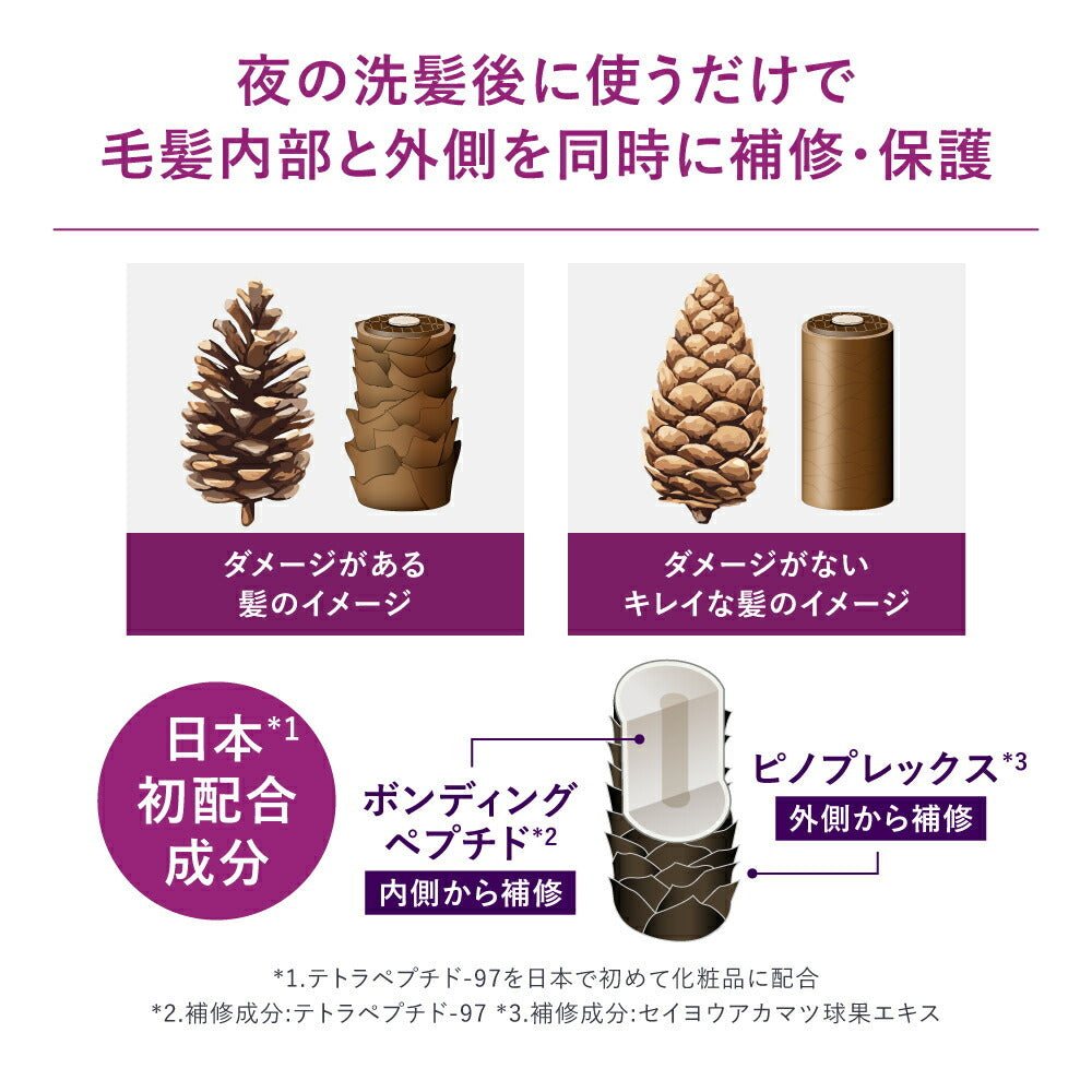 AMPLEUR 夜間修護頭皮與髮絲精華 Night Repair Scalp & Hair Essence 100mL