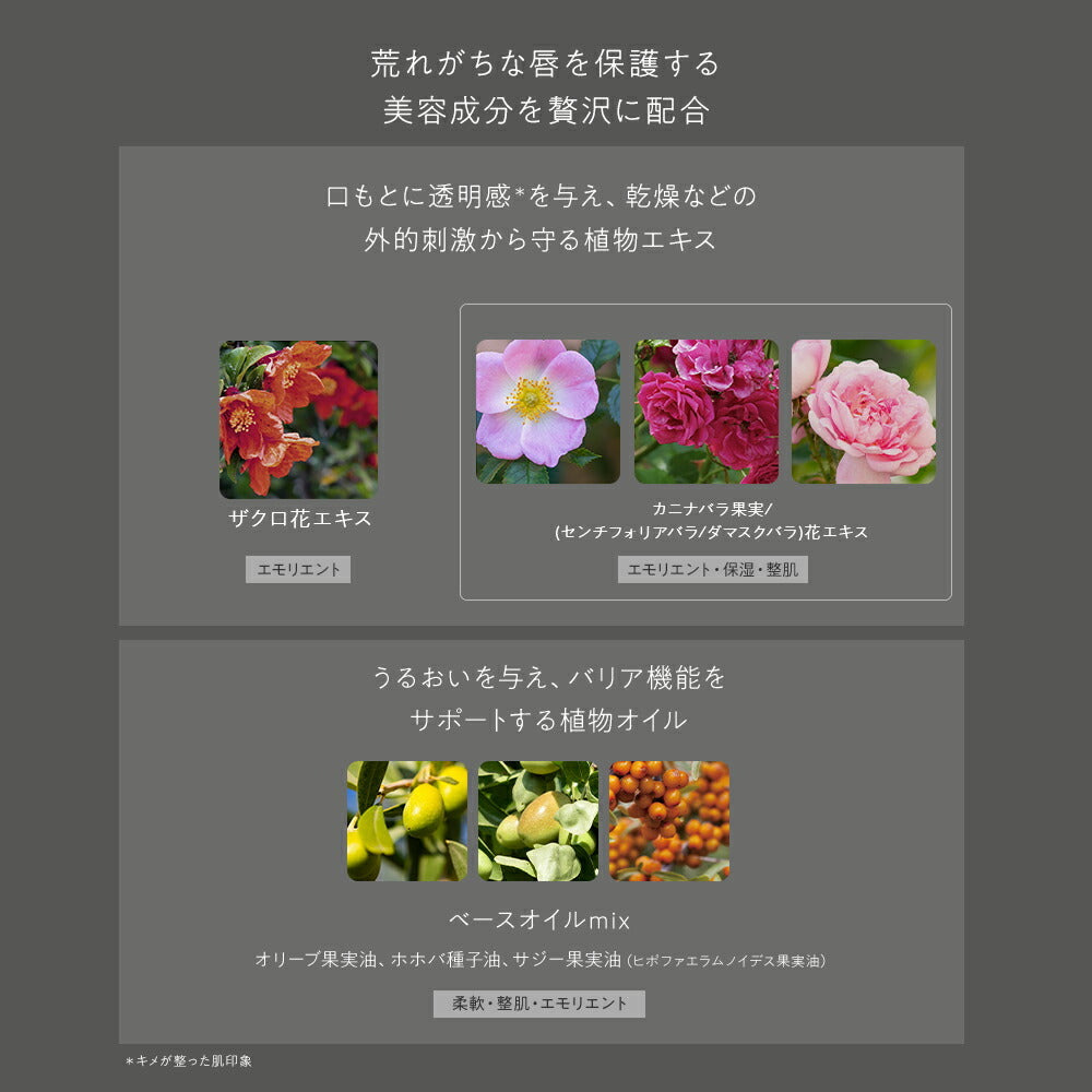[限量] naturaglace 光澤唇彩 Lip Essence Gloss