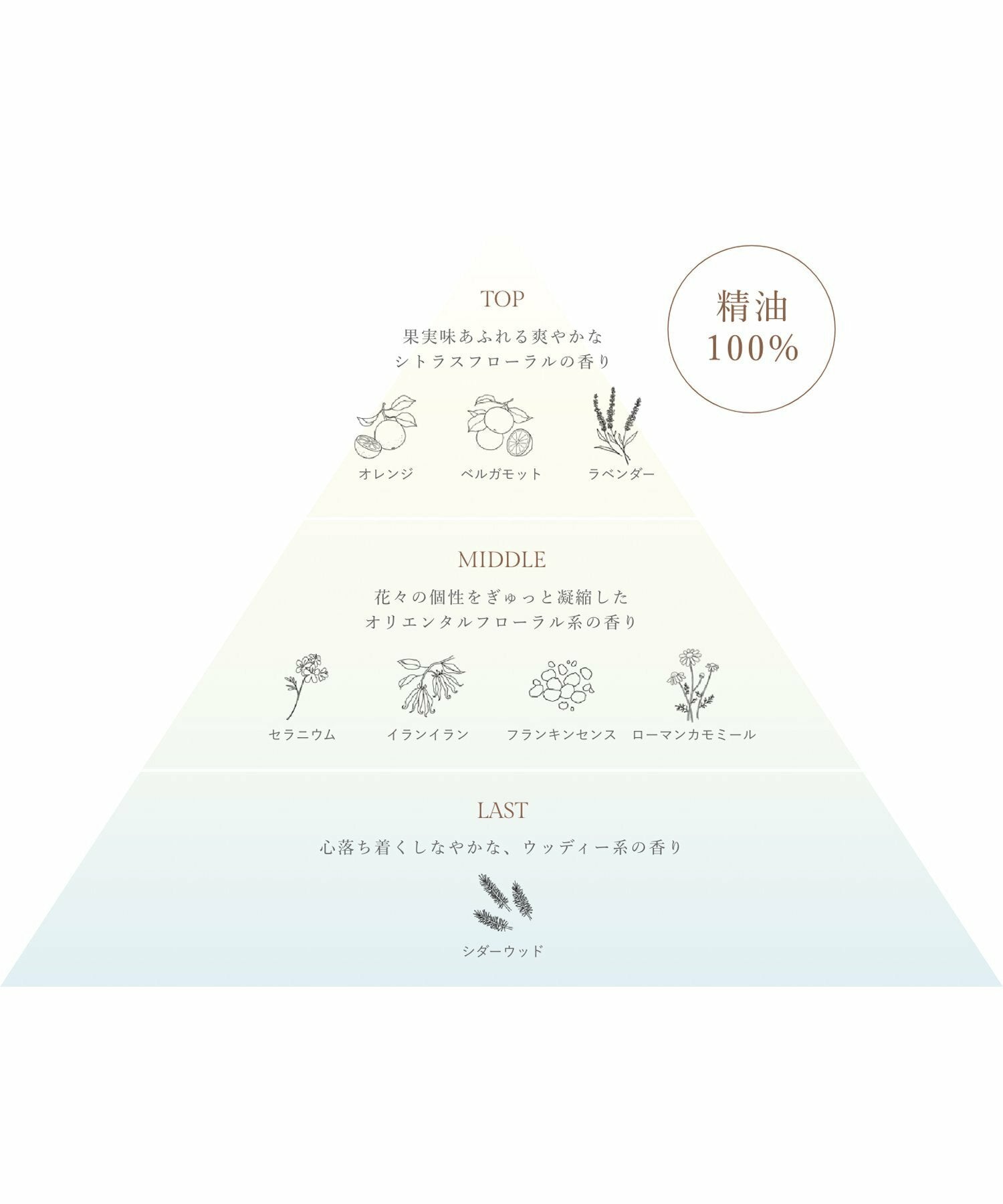 To One 保濕護髮素 290mL