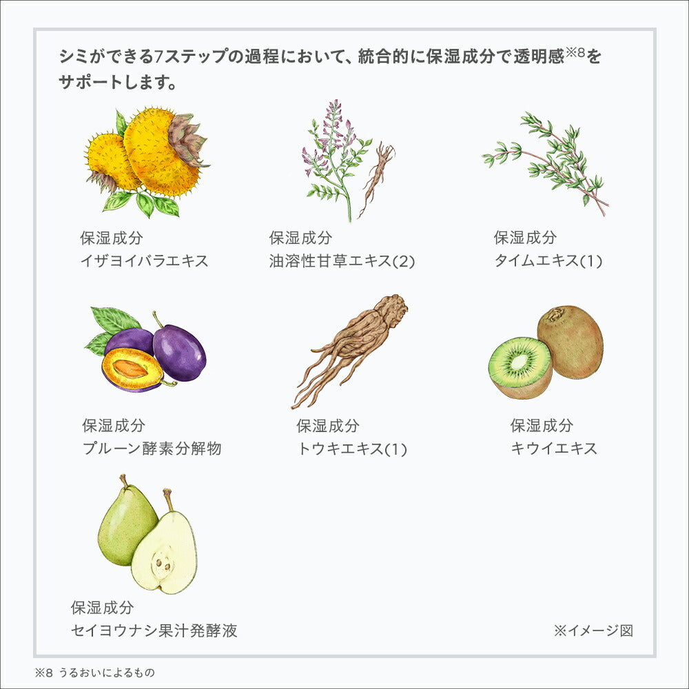 ETVOS 藥用美白淨透化妝水 Medicated Whitening Clear Lotion 120mL