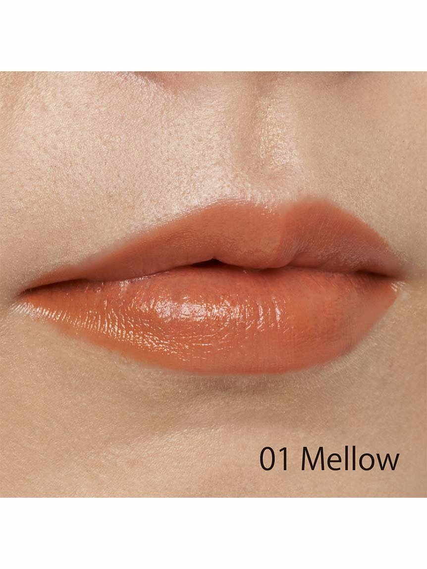 Snidel Beauty Rouge Matte