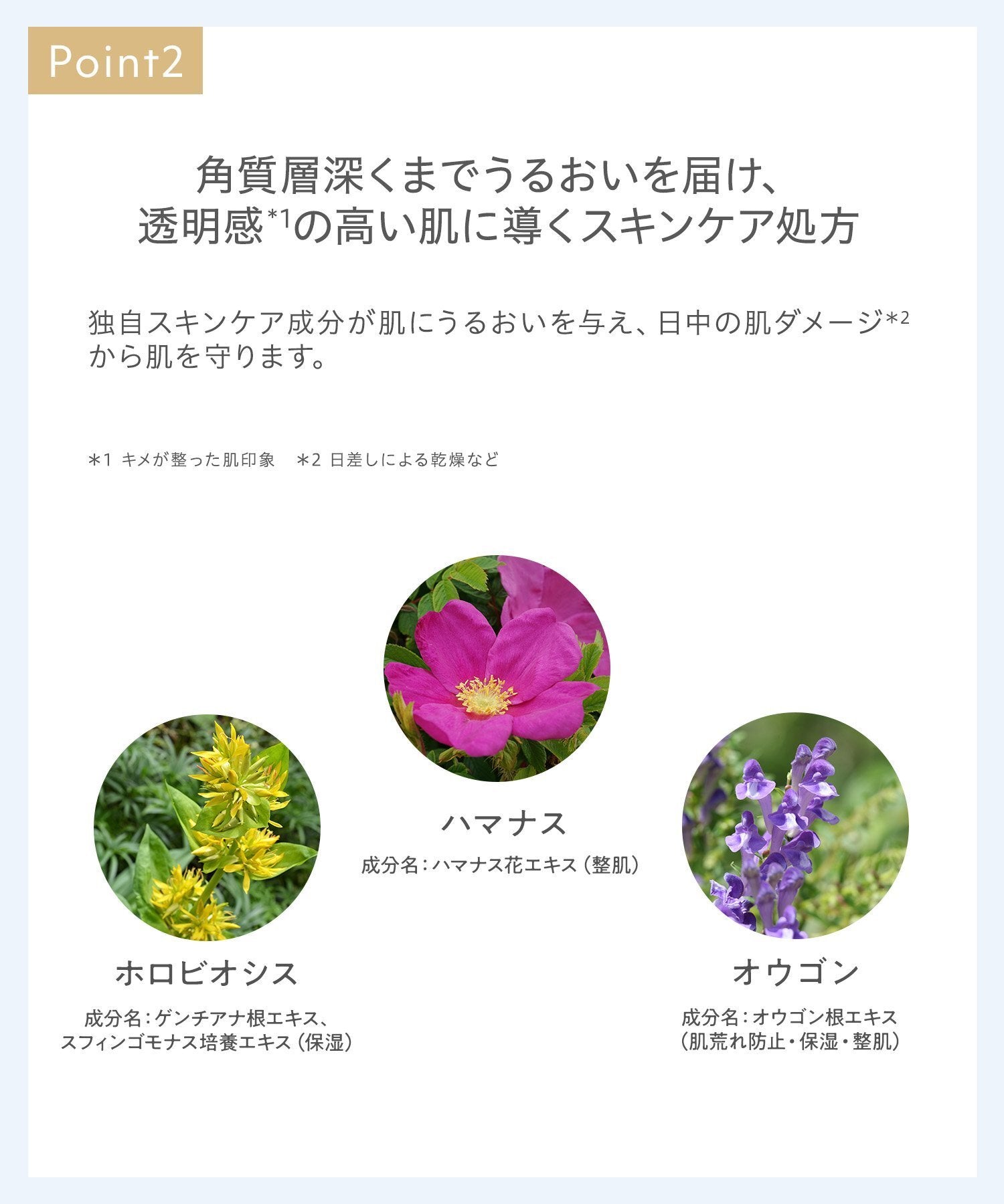 naturaglace 肌膚修護粉底N SPF50+ PA+++ SkinTreatment Foundation 30g