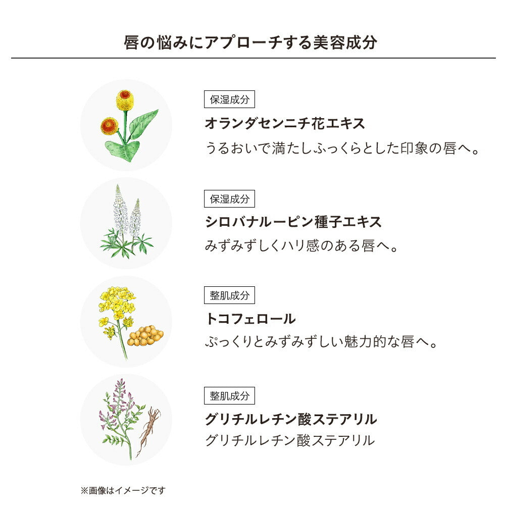 ETVOS 礦物柔光啞緻唇膏 Mineral Sheer Matte Rouge