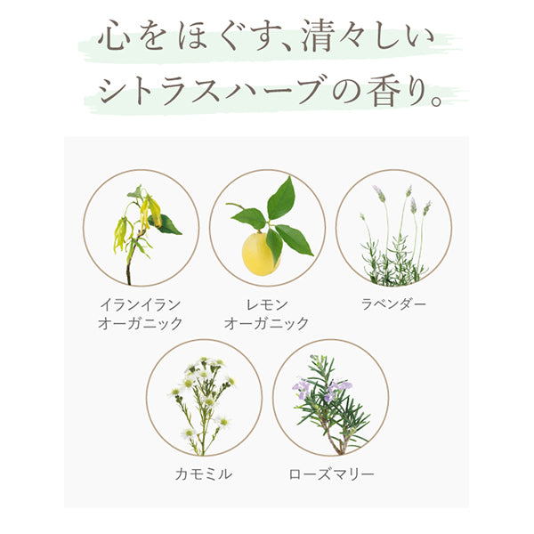 La Casta 香氛美容髮乳 Hair Emulsion