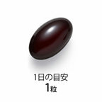 FANCL 鎖水修護營養素 30日