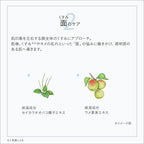 ETVOS 亮白透亮系列初體驗套裝 Brightening Clear Line First Kit