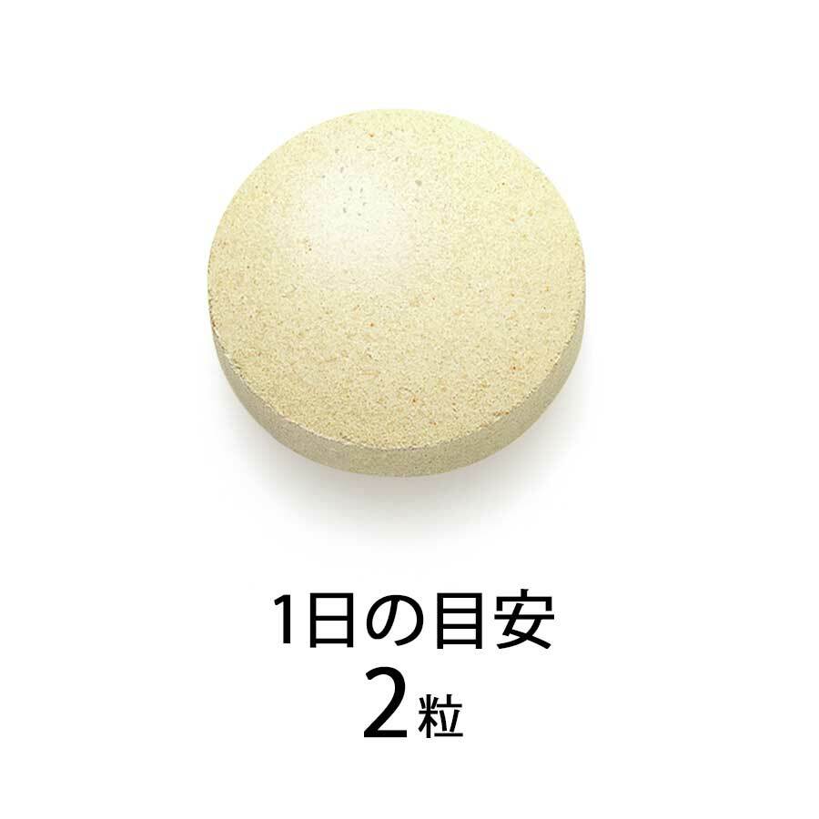 FANCL 激活抗病免疫 Plasma 乳酸菌 咀嚼片 30日