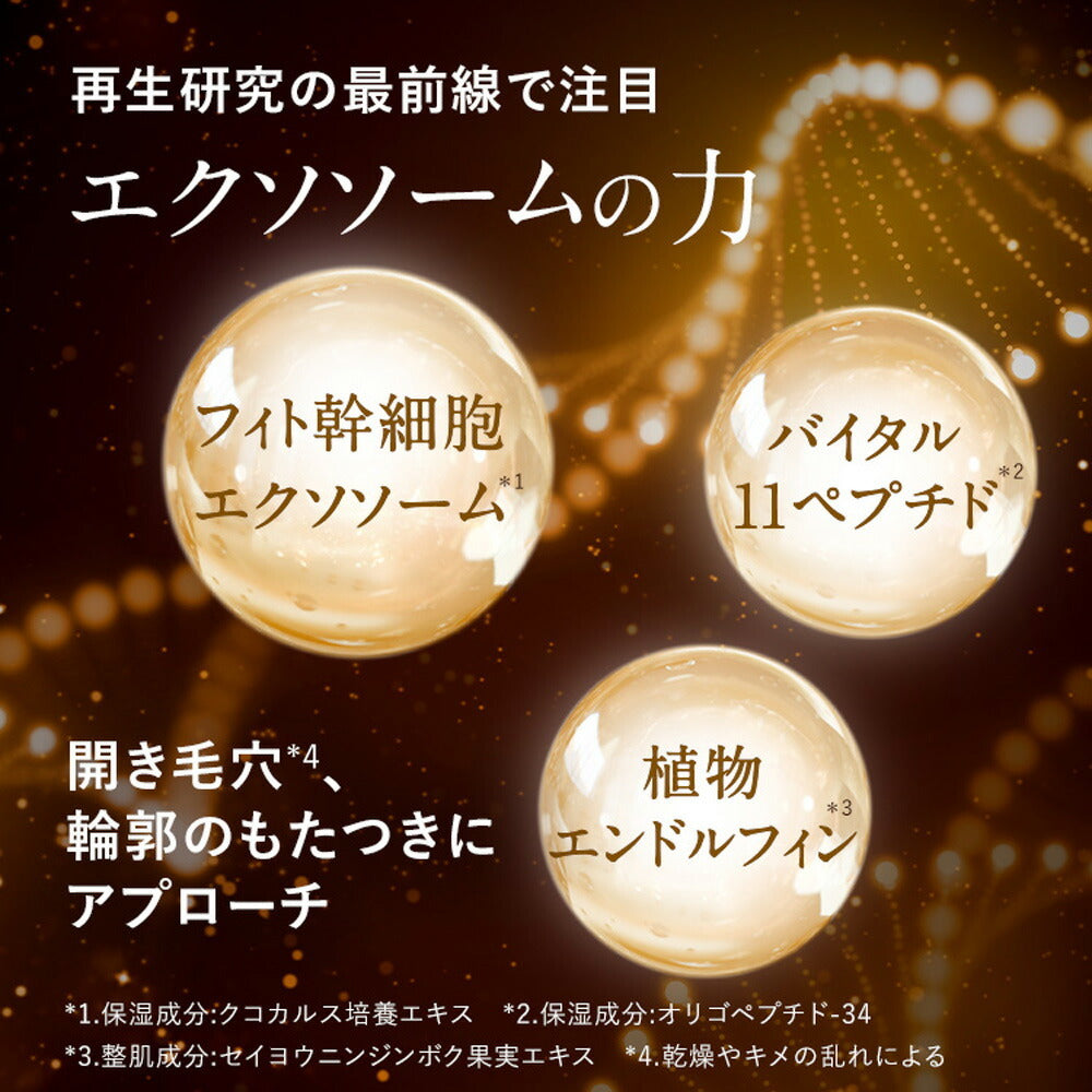 AMPLEUR 免沖洗水潤睡眠面膜 Power Mask 70g