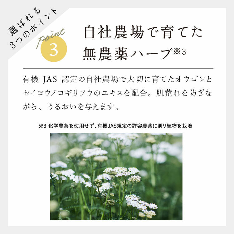 chant a charm 酵素潔面粉 34包