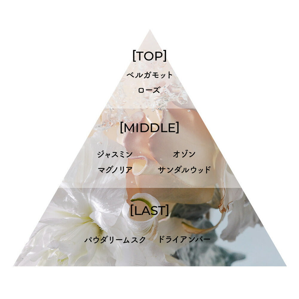 Aíam Chapter 8 香水 8mL/50mL/100mL