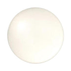SHIRO 夜用精華護唇油 Essence Lip Oil 5g