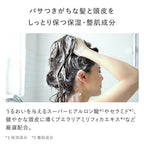 AMPLEUR 濃密泡沫洗髮精 Premium Phyto Hair Wash N 260mL