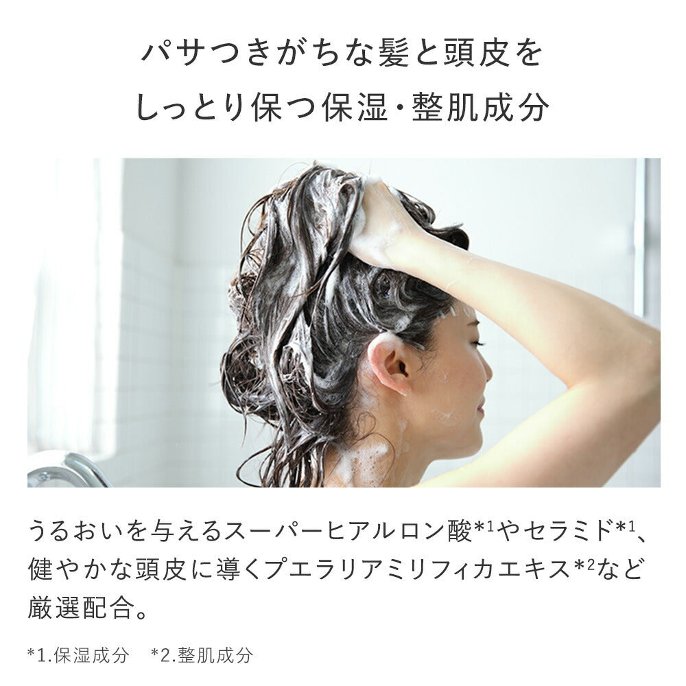 AMPLEUR 濃密泡沫洗髮精 Premium Phyto Hair Wash N 260mL