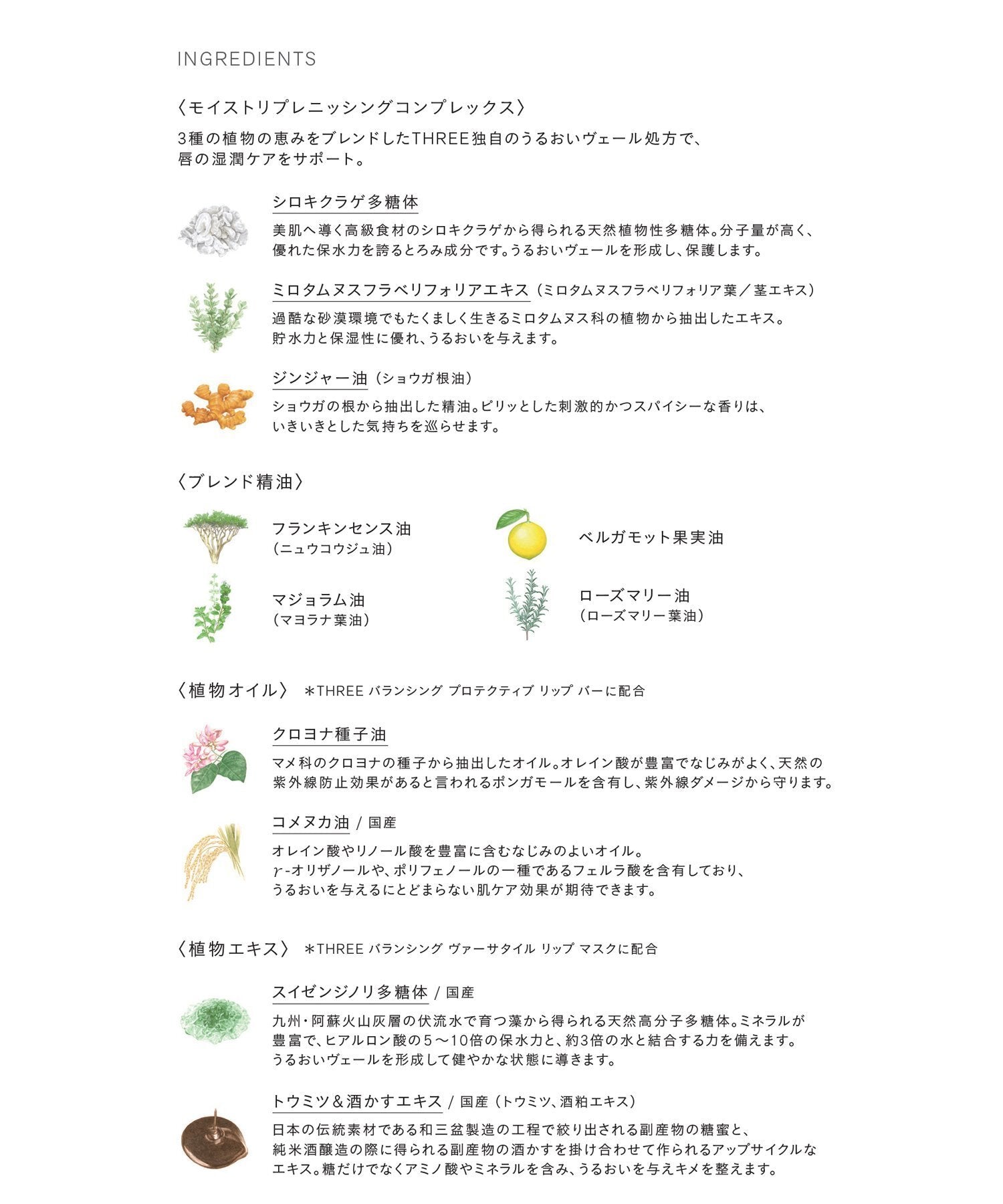 THREE 平衡多效潤唇膜 Balancing Versatile Lip Mask