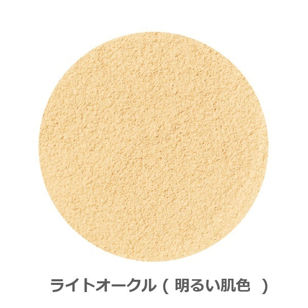 ONLY MINERALS Premium Foundation