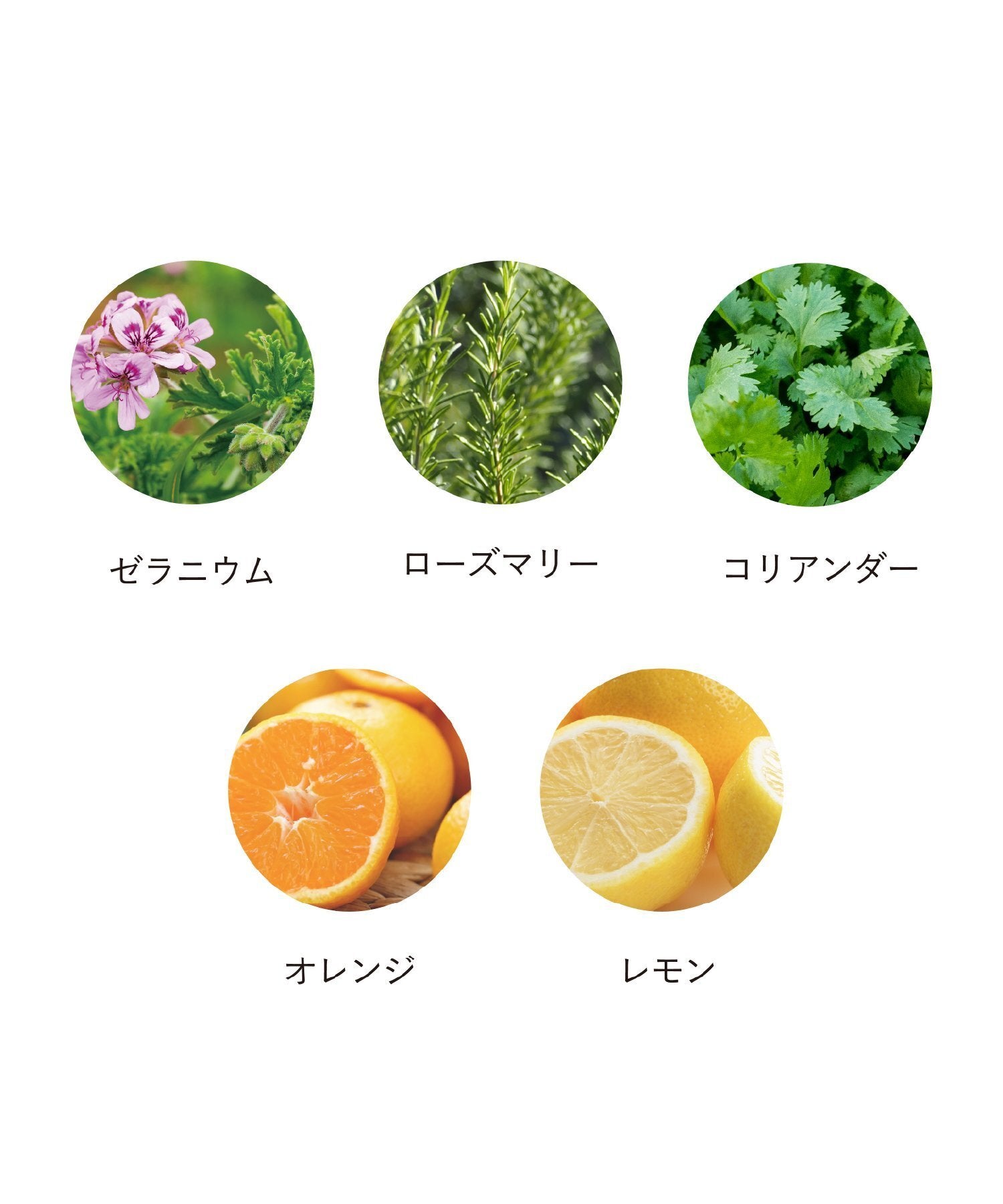 OSAJI 潤澤護髮膜 Hair Moist Mask 150g