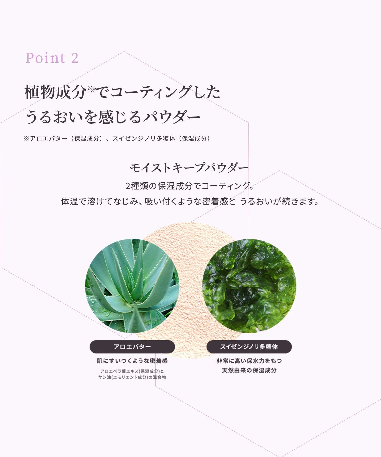 naturaglace 光采滋潤蜜粉 SPF40・PA+++ Radiant Moist Loose Powder