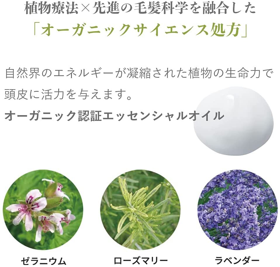 AMPLEUR 潤澤護髮乳 Premium Phyto Hair Conditioner 250g