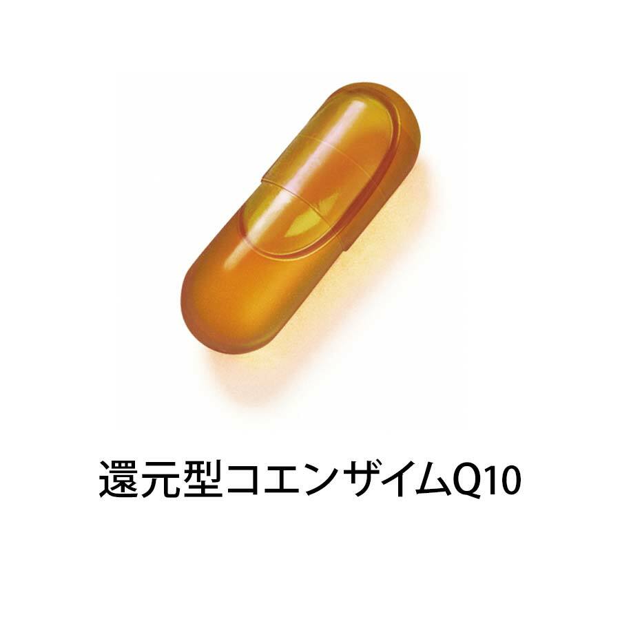 FANCL 60代 綜合營養維他命 30日