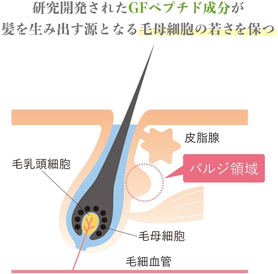 AMPLEUR 潤澤護髮乳 Premium Phyto Hair Conditioner 250g