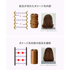AMPLEUR 夜間修護頭皮與髮絲精華 Night Repair Scalp & Hair Essence 100mL