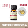 TUNEMAKERS 有機艾蒿葉原液 10mL