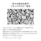 ReFa 高濃度離子護髮洗頭水／護髮素 ION CARE SHAMPOO／TREATMENT 300mL／290g