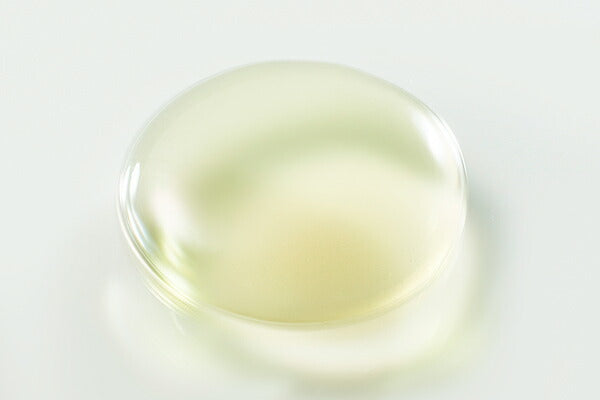 chant a charm 深度滋養導入精華油 Moist Booster Oil 40mL