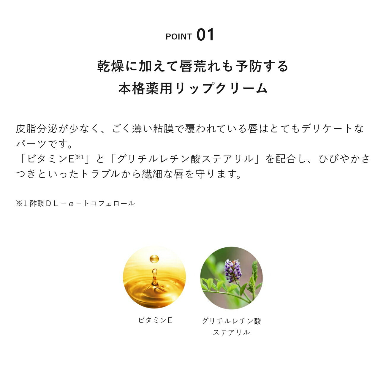 &be 藥用潤唇護理 Medicated Moist Lip Care 3g