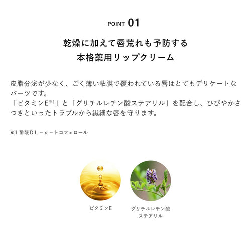 &be 藥用潤唇護理 Medicated Moist Lip Care 3g