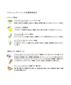 THREE 平衡保養入門組 混合肌油性肌 Balancing System Skincare First Kit