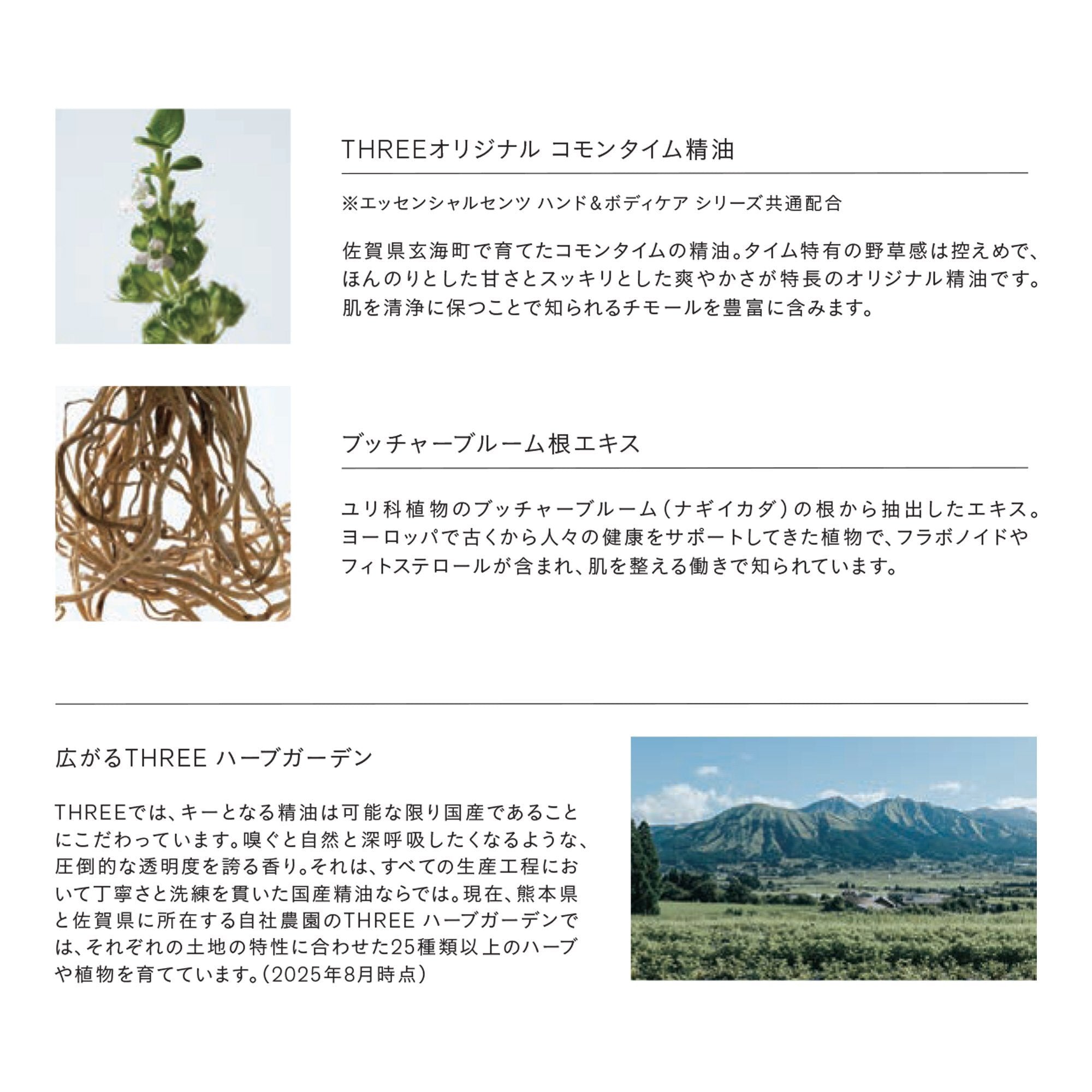 THREE 基礎香氛全身保養乳液 Essential Scents Treatment Full Body Emulsion 100mL