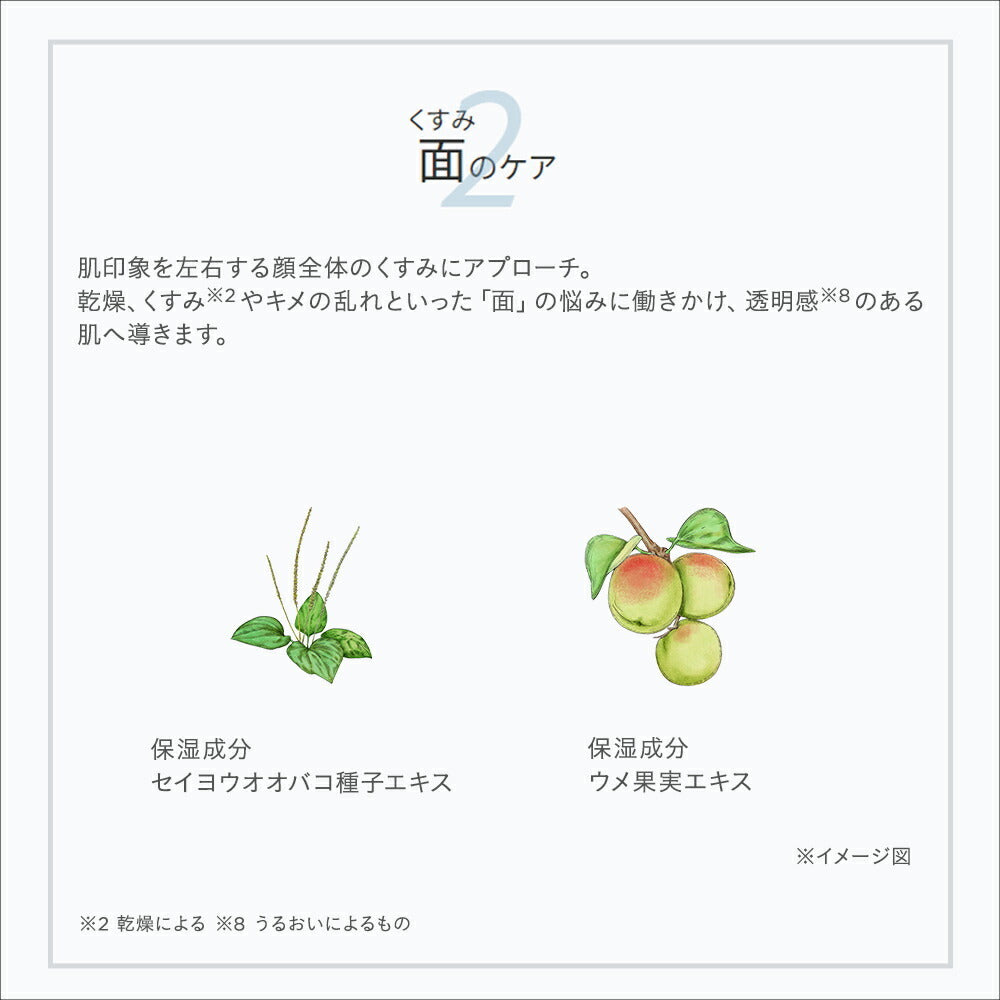 ETVOS 藥用美白淨透化妝水 Medicated Whitening Clear Lotion 120mL