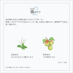 ETVOS 藥用美白淨透化妝水 Medicated Whitening Clear Lotion 120mL