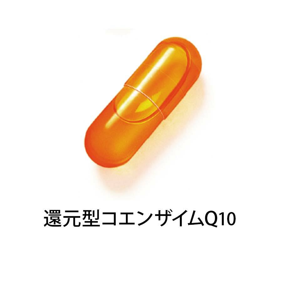 FANCL 男士50代 綜合營養維他命 30日
