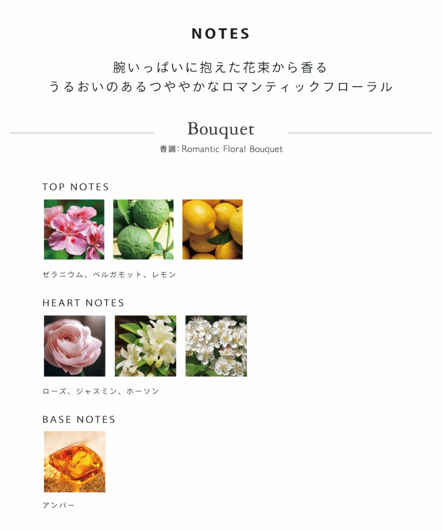 Snidel Beauty 潤手霜 Perfumed Hand & Nail Cream 50g