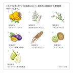 ETVOS 亮白透亮系列初體驗套裝 Brightening Clear Line First Kit